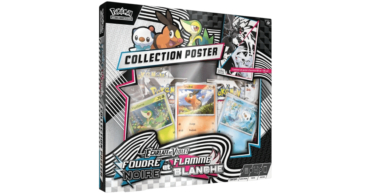 Coffret Collection Poster Foudre Noire Flamme Blanche