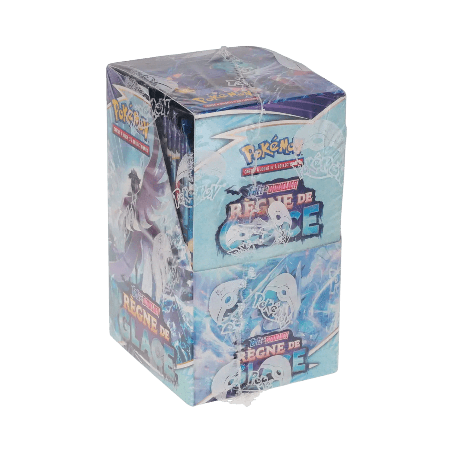 Demi-Display Règne de Glace
